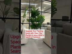 Peningkatan Ruang Tanaman Anda Dengan Penanam Serat Tanah Liat Yang Harus Anda Punya Saat Mencari Solusi