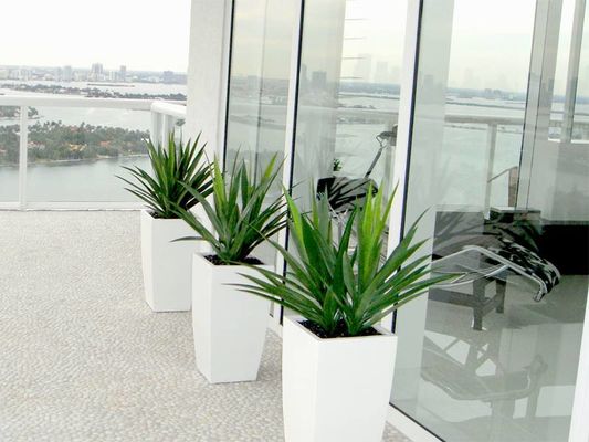 Beli Pot Penanaman Bunga Serat Kaca Persegi Untuk Indoor dan Outdoor online manufacture