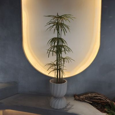 Beli Tumbuhan palsu plastik tahan sinar UV Pohon Graptopetalum buatan online manufacture