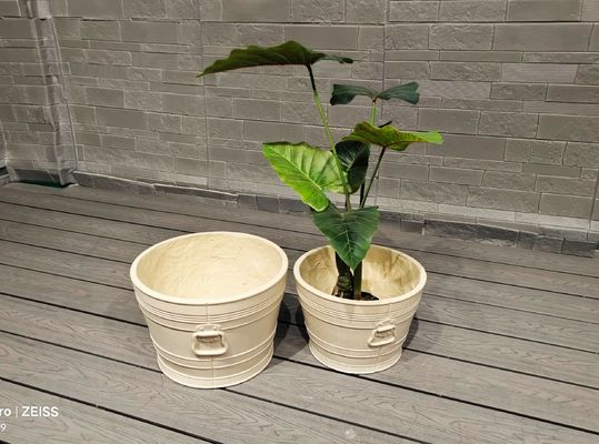 Beli Temukan Tanaman Tanah liat Serat yang Sempurna untuk Taman Anda Desain yang Kuat dan Bergaya online manufacture
