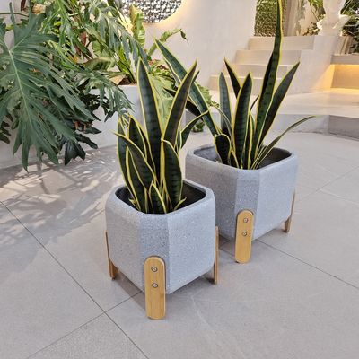Beli Desain yang disesuaikan Gaya modern Fiber Clay Planter Dengan Hand Carve Finishing online manufacture