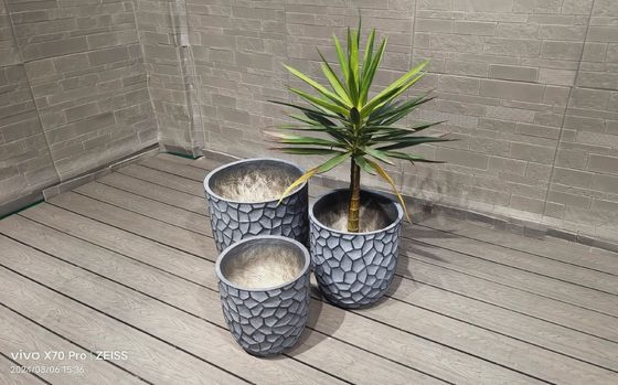 Beli Simpan 5-6 Tahun Hidup di Luar Dengan Tanaman Tanah liat yang Dijamin Tahan Es online manufacture