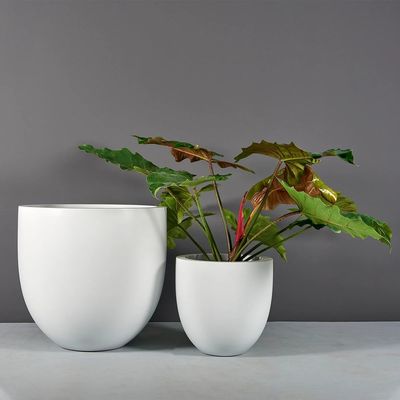 Set Botol Bunga Resin Serat Kaca untuk Dekorasi Rumah Kebun Renyah