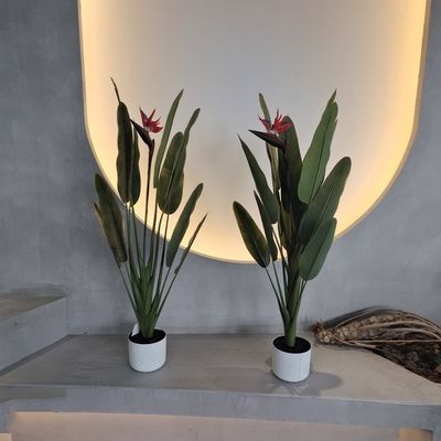 Pohon Palma Palma Hypoallergenic yang menawan dibuat untuk dekorasi dalam ruangan dan luar ruangan