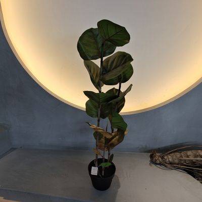100cm Pohon Coccoloba buatan Tahan UV