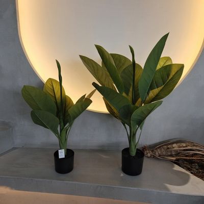 Bahan plastik tahan lama Tanaman buatan 70cm Pohon Dieffenbachia buatan