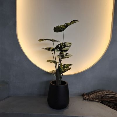 Pohon Monstera Palsu tahan serangga 70-100cm Untuk dekorasi perawatan rendah
