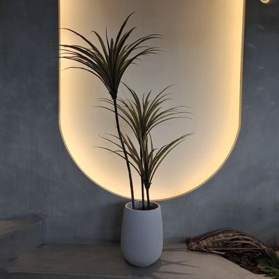 Pohon Yucca buatan tanaman palsu tahan serangga tahan air 160cm