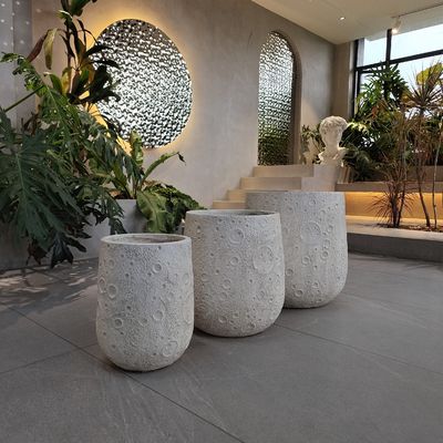Tangan Ukiran Tanah liat Diperkuat Penanam Gaya Modern Untuk Taman Indoor Dan Outdoor